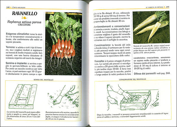 Orto e Frutteto Biologico::Il grande libro