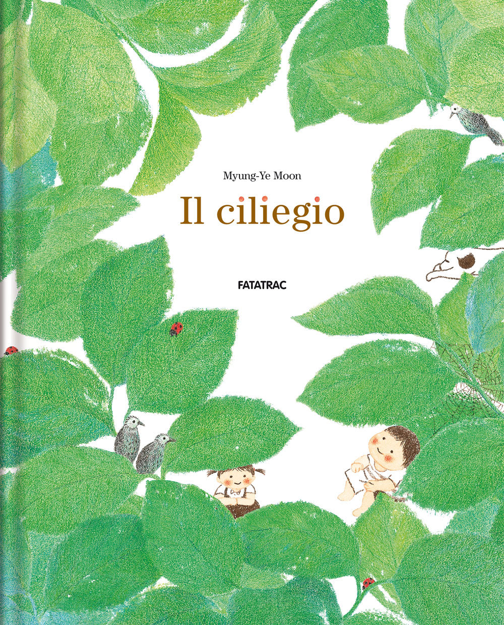 Il ciliegio