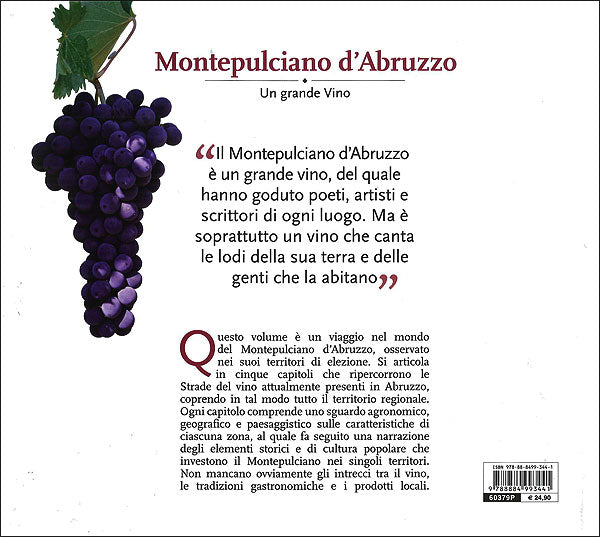 Montepulciano d'Abruzzo::Un grande Vino