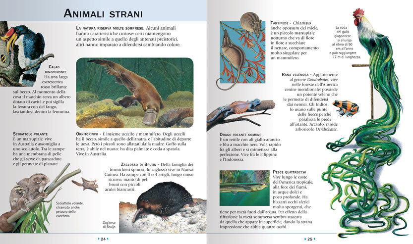 Enciclopedia illustrata per ragazzi