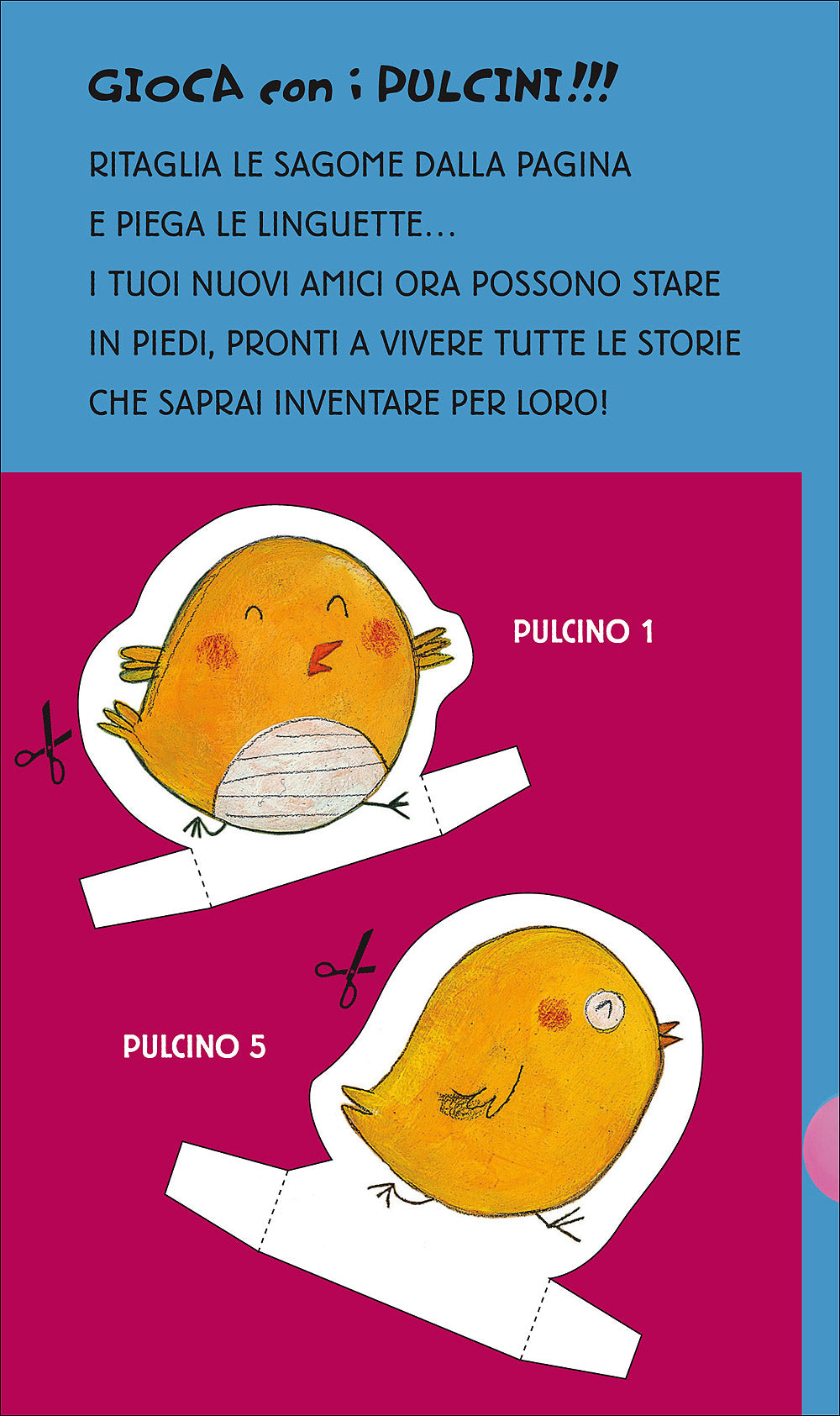 2 Case per 5 Pulcini