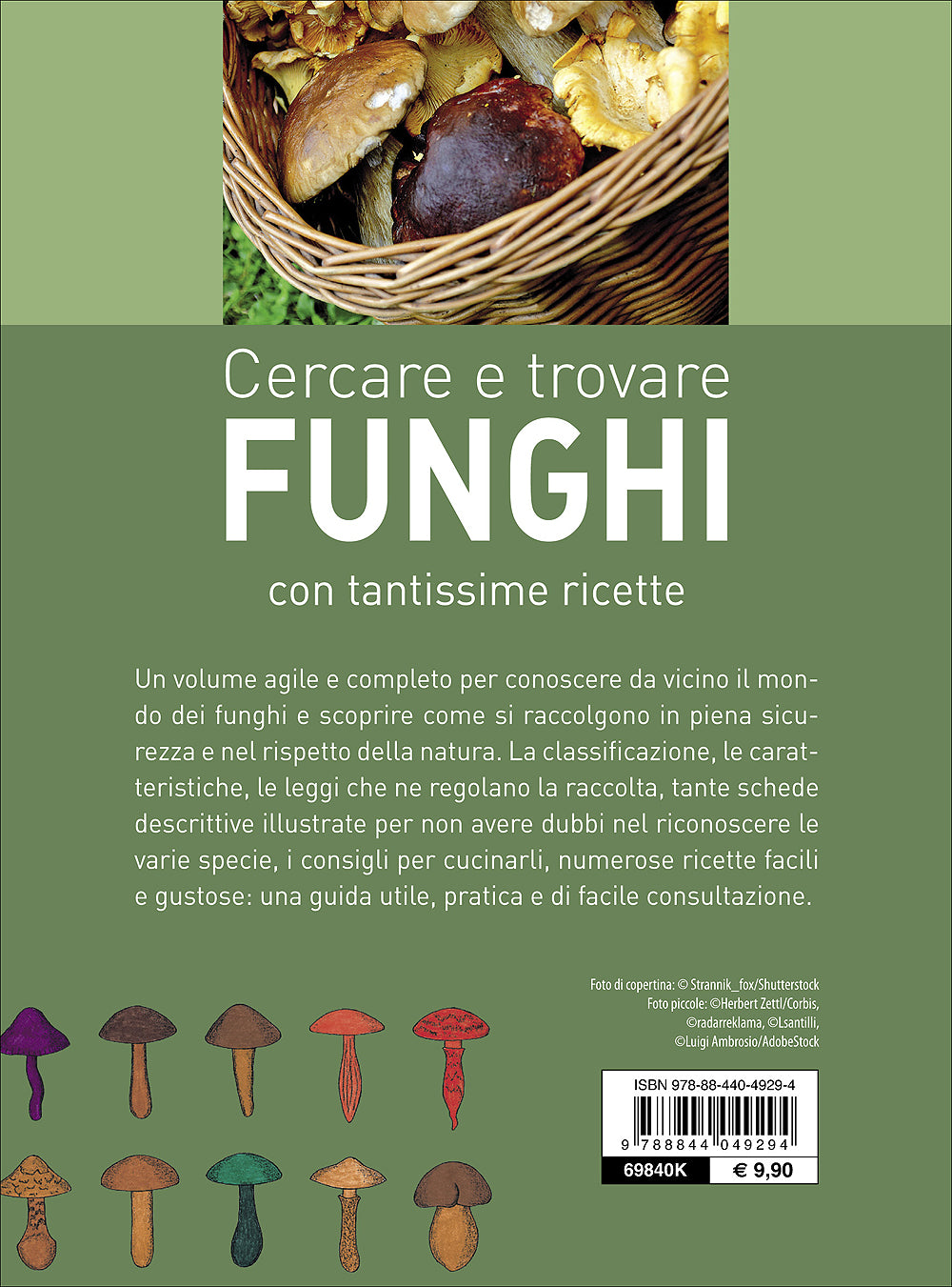 Cercare e trovare funghi::Con tantissime ricette