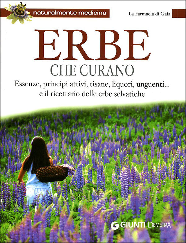 Erbe che curano::Essenze, principi attivi, tisane, liquori, unguenti... e il ricettario delle erbe selvatiche