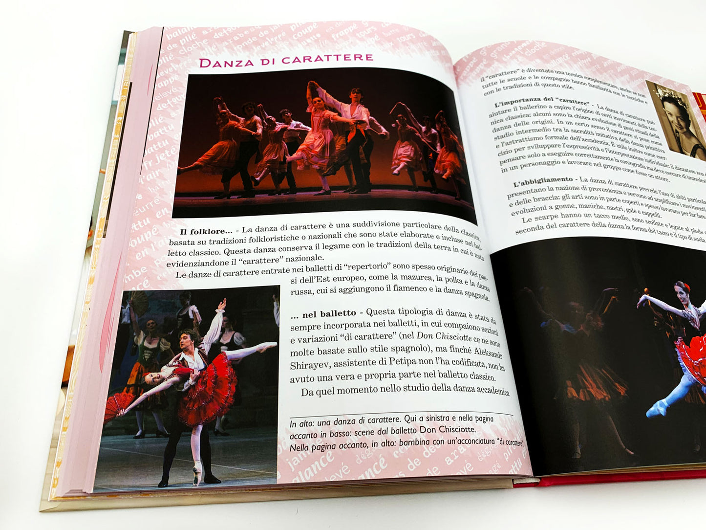 Il grande libro della danza
