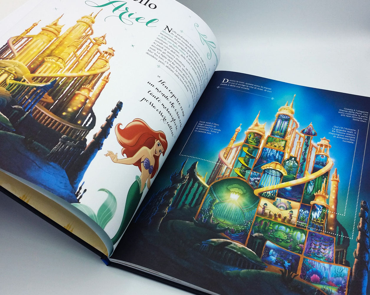 Storie Disney da Collezione - I castelli delle Principesse. Un passo nella magia