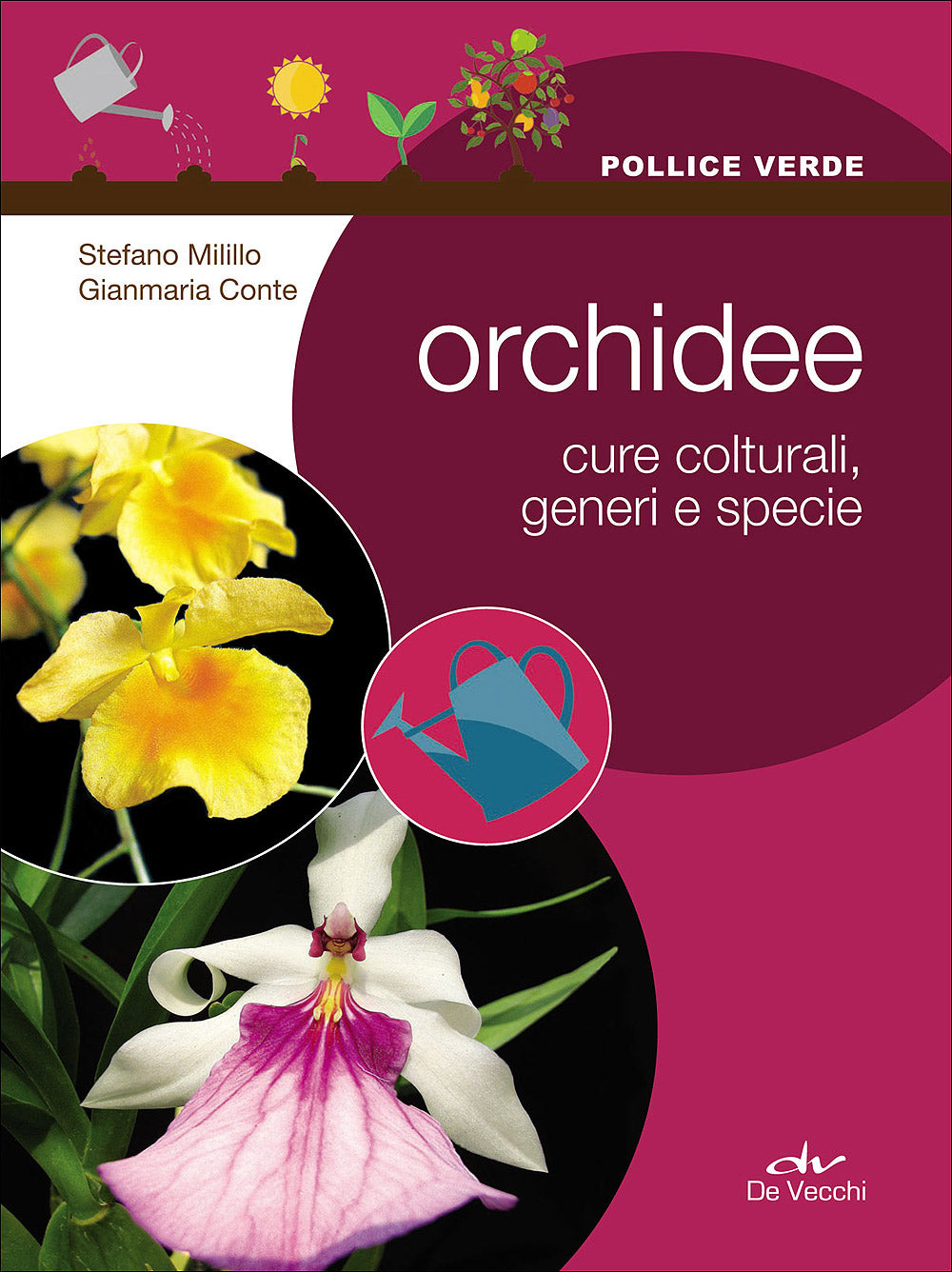 Orchidee::Cure colturali, generi e specie