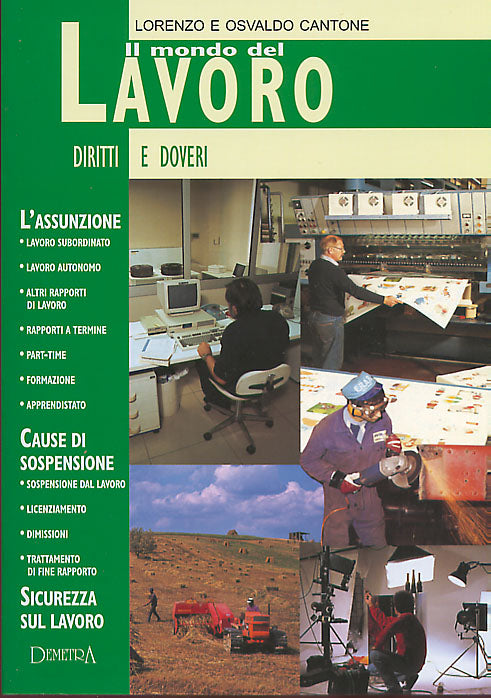 Il mondo del lavoro::Diritti e doveri