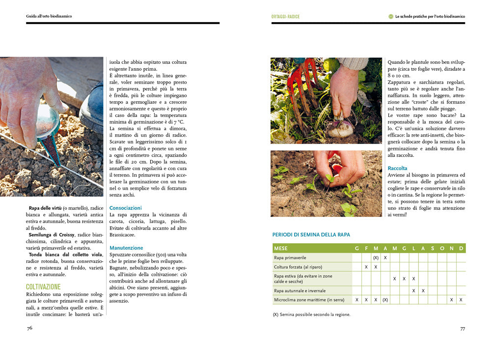 Guida all'orto biodinamico::Seminare, coltivare, vivere la terra