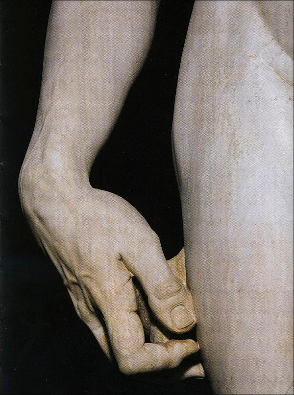 Michelangelo. David (in inglese)