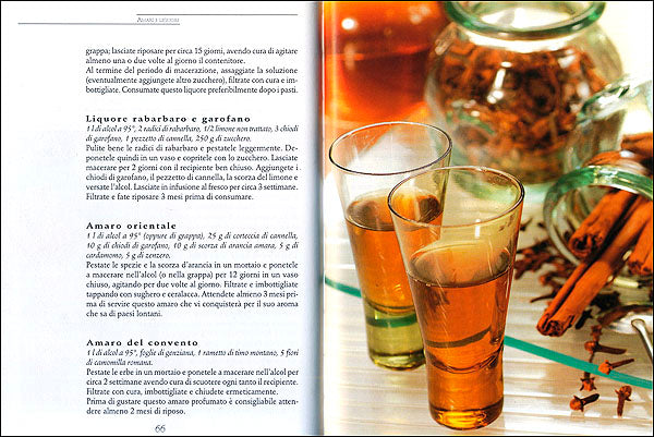 Fare e distillare Liquori d'erbe