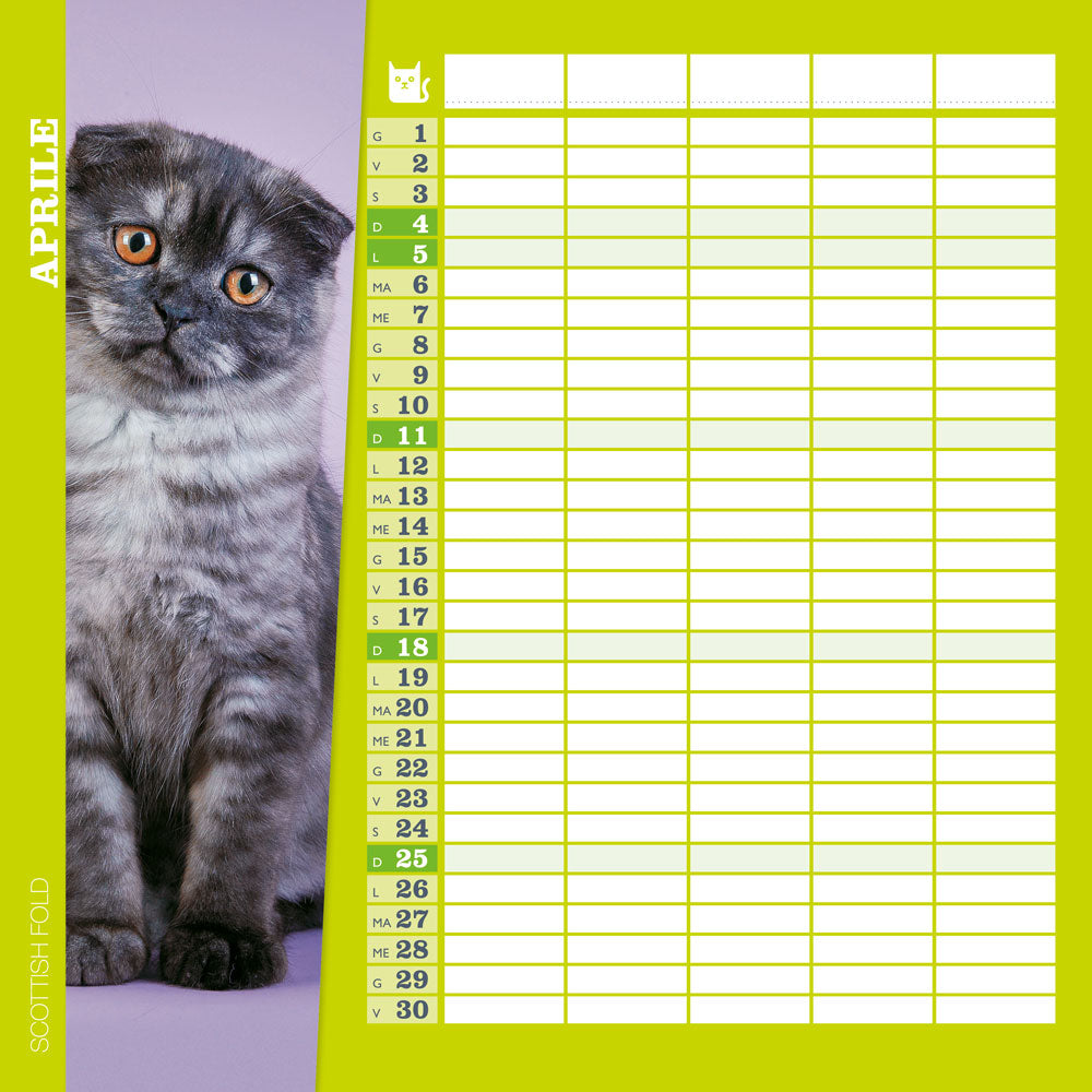 Calendario Gatti come noi 2021, da parete, 30x30 cm