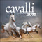 Cavalli - Calendario 2015