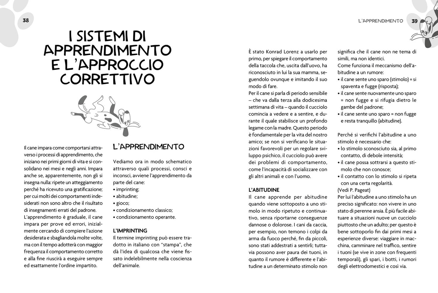 Educare o rieducare il cane::Prevenire o correggere i comportamenti indesiderati