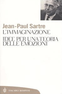 L' immaginazione. Idee per una teoria delle emozioni