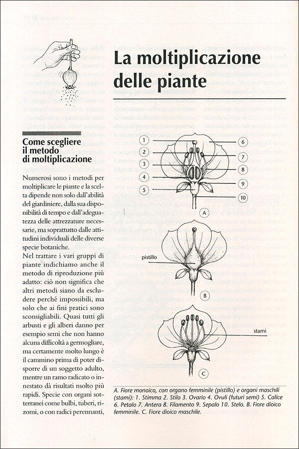 Il maxi libro del giardino::Come progettare, organizzare, suddividere, impiantare e curare il tuo giardino